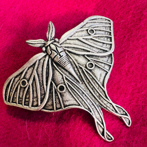 Long-tailed Moth Hair Clip