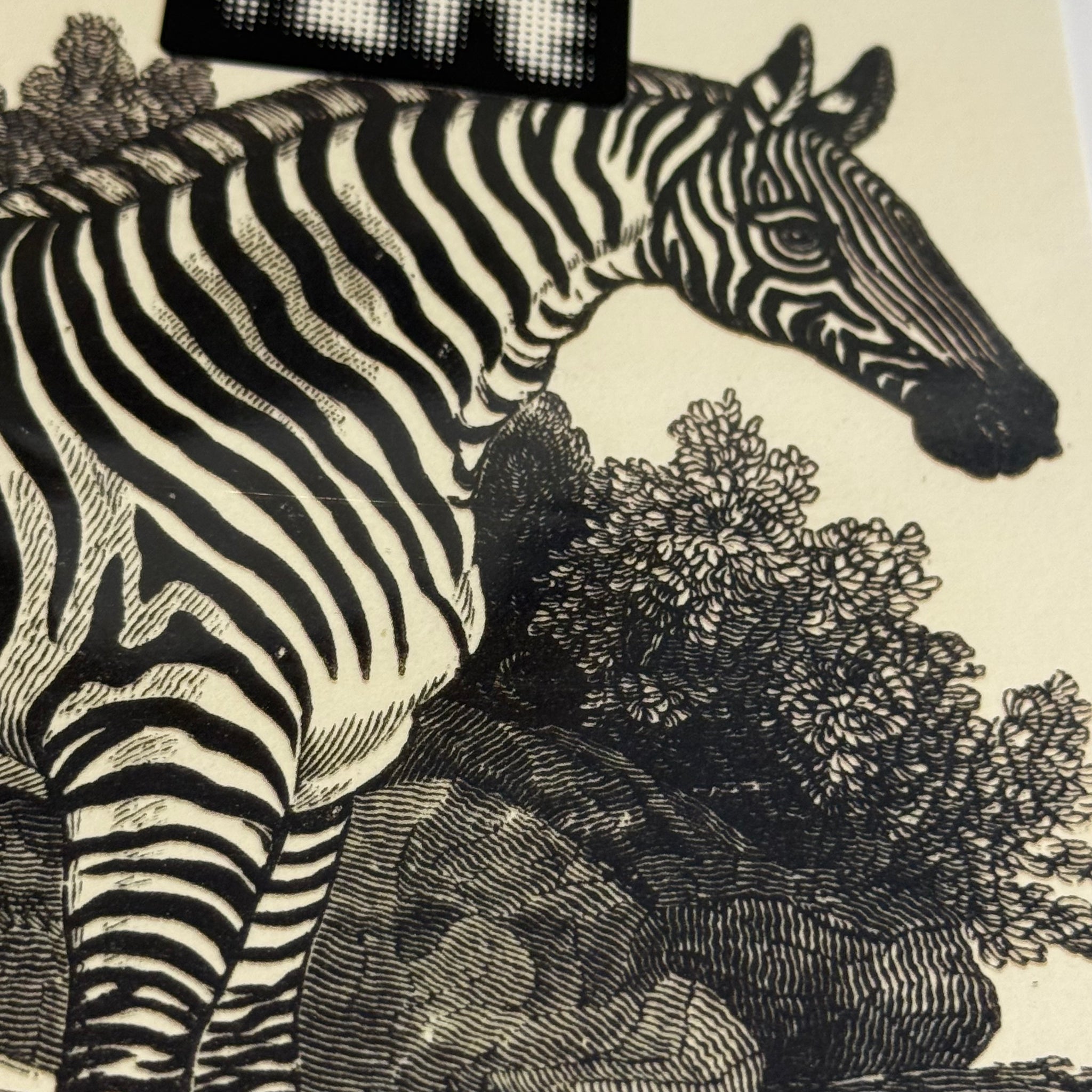 Card - Zebra