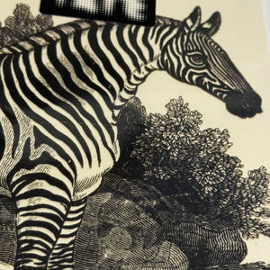 Card - Zebra