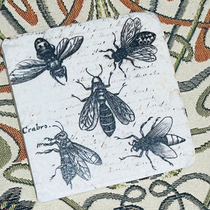 Set of Four Bee Drinks Coasters