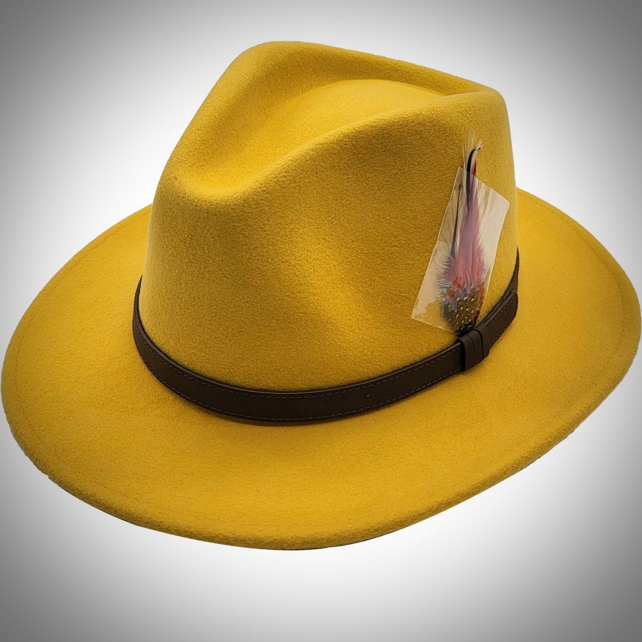 Fedora Hat with band