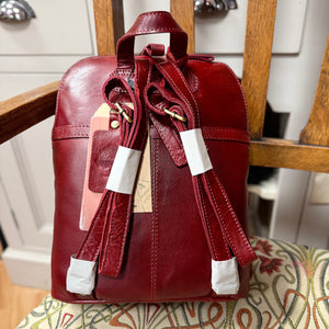 Red Alexis Ruck Sack Bag with Grab Handle