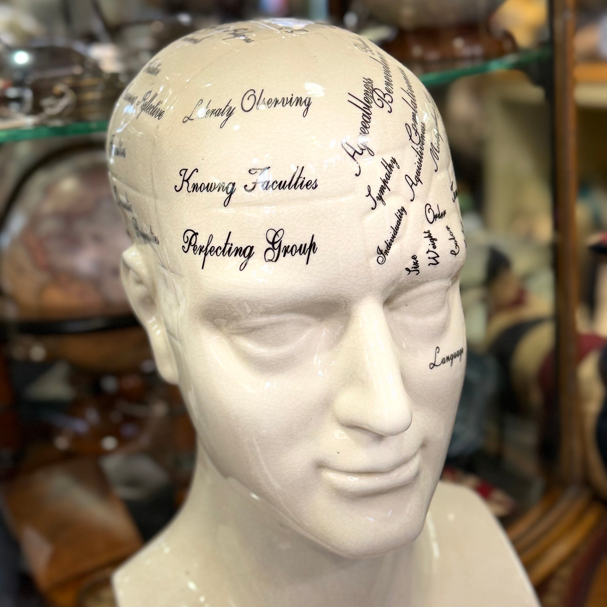 Large Antiqued Male Phrenology Head