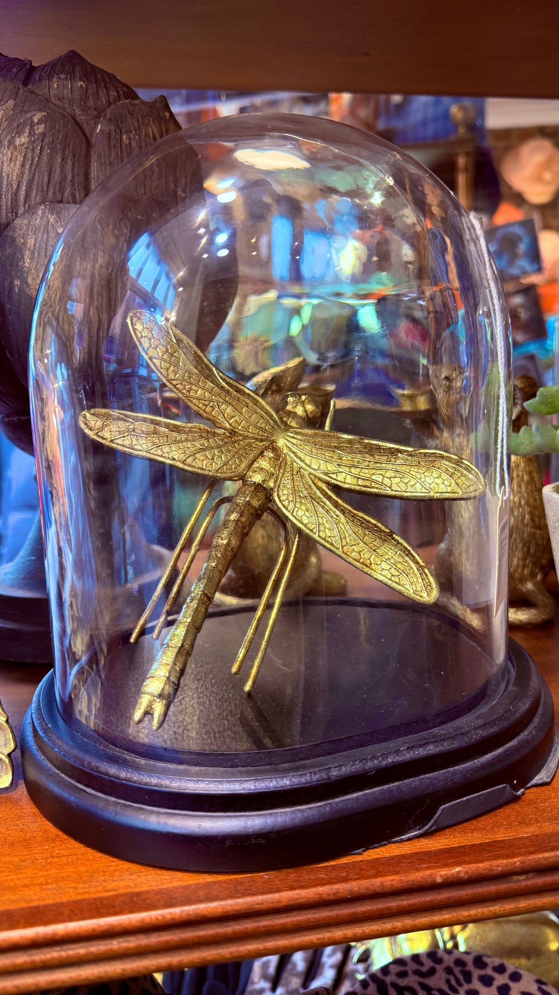 Wall Hanging Dragonfly