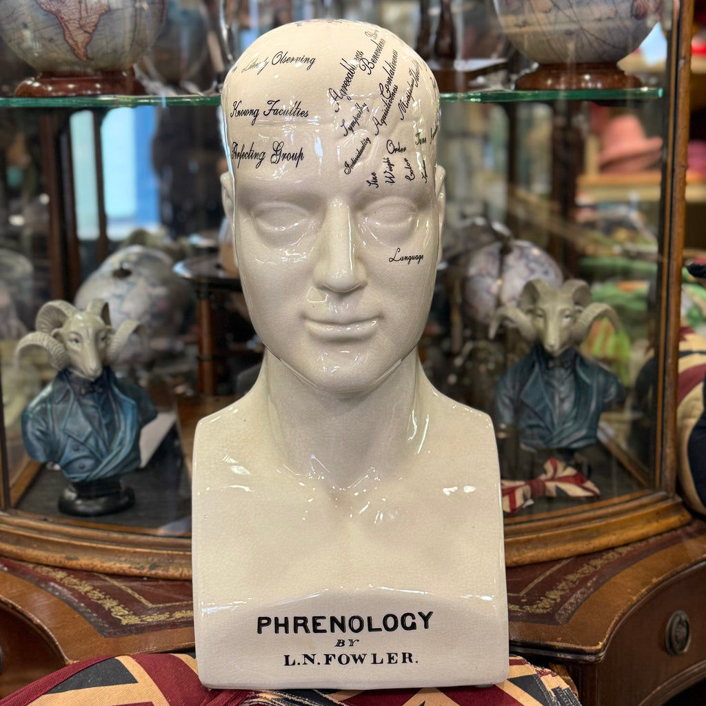 Large Antiqued Male Phrenology Head