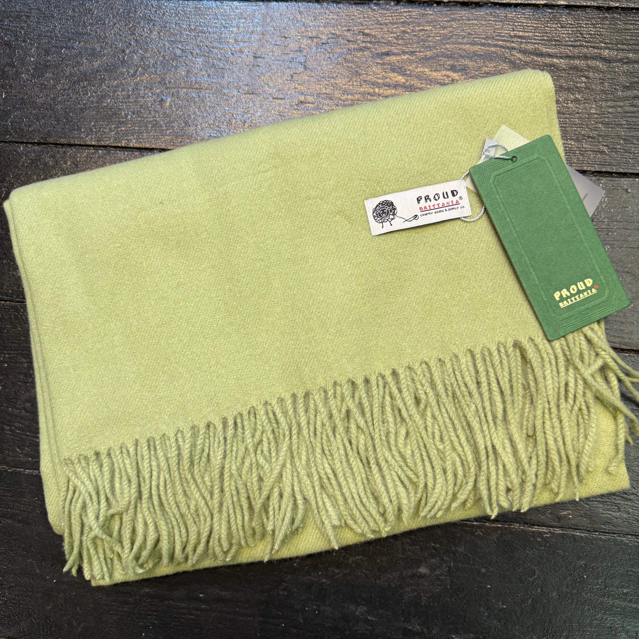 Plain Luxurious Pashmina Tia Fringed Scarf