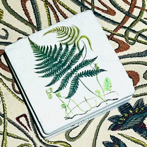 Set of Four Fern Drinks Coasters