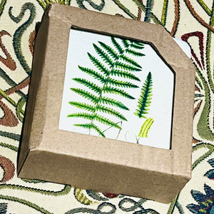 Set of Four Fern Drinks Coasters