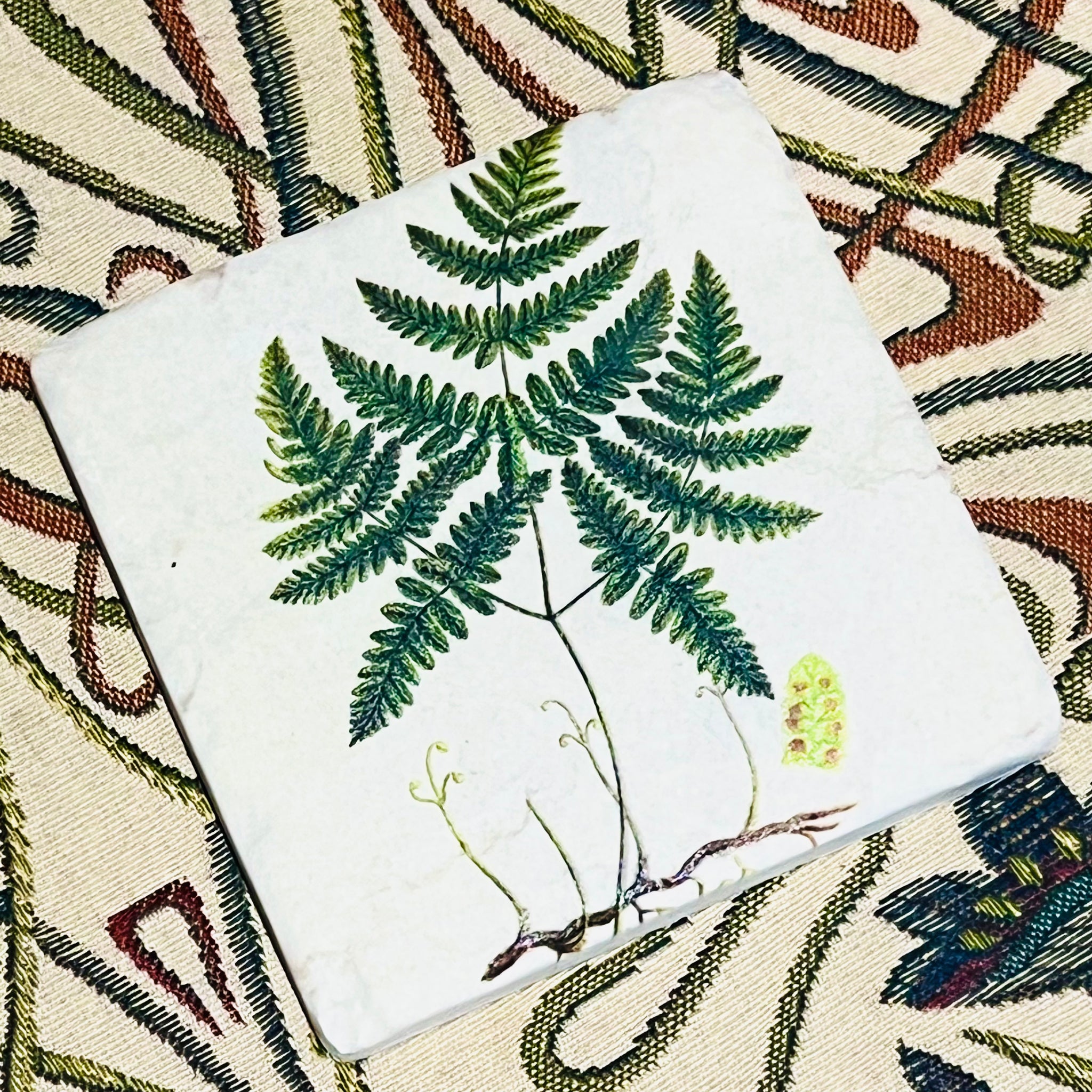 Set of Four Fern Drinks Coasters