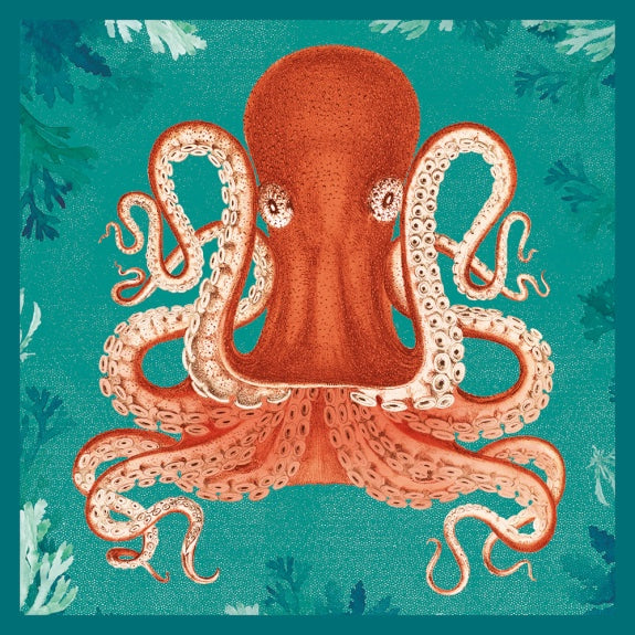Card - Octopoda