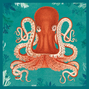 Card - Octopoda