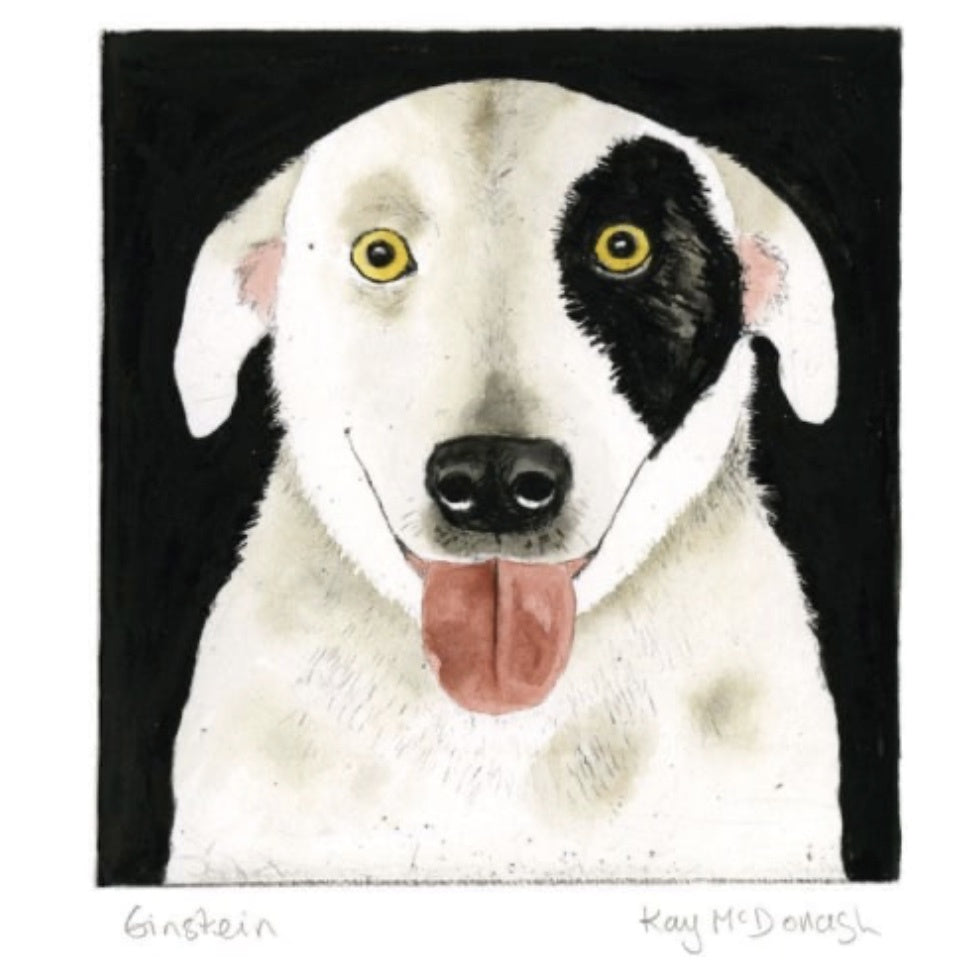 Card - Einstein The Dog