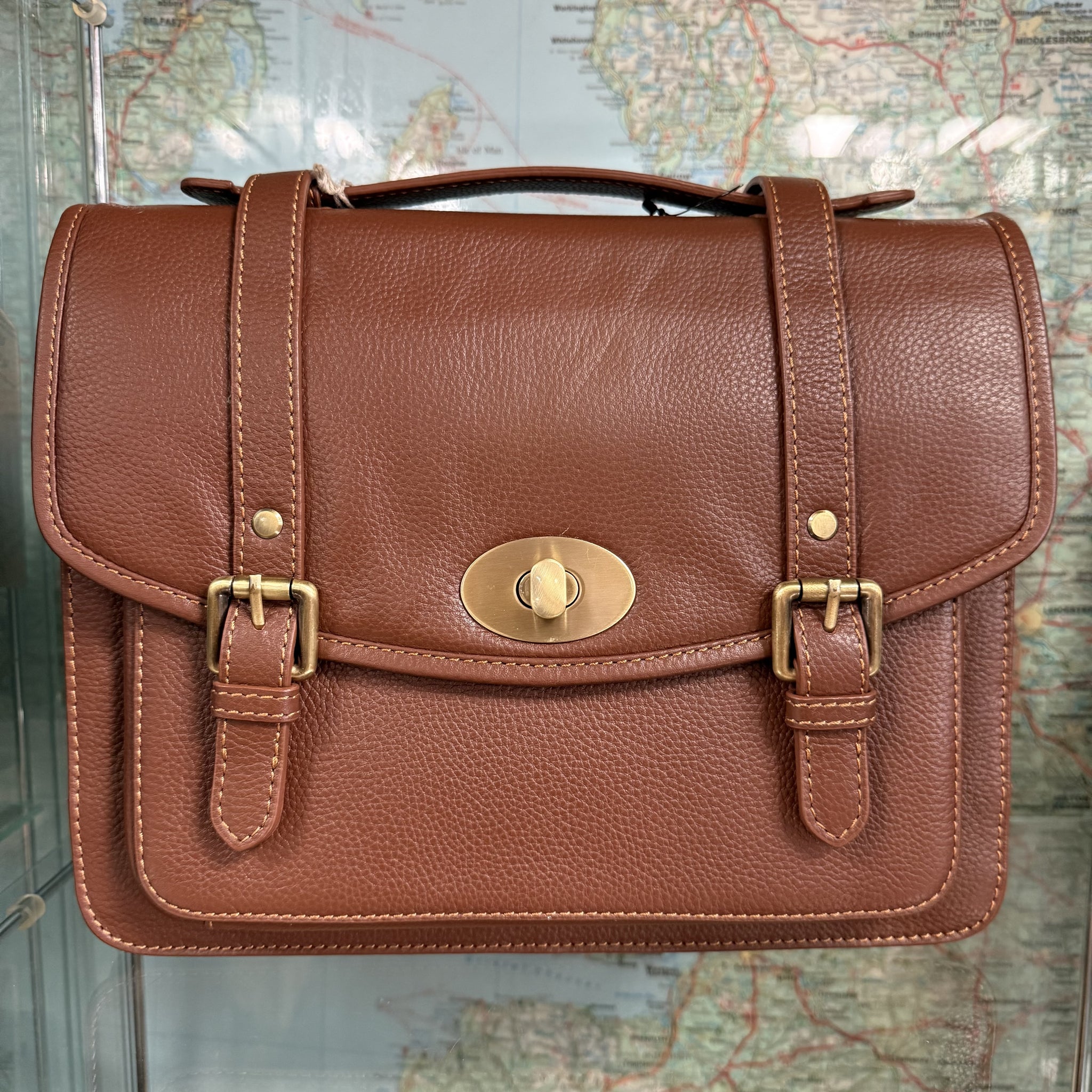 Francheska All Leather Satchel Bag