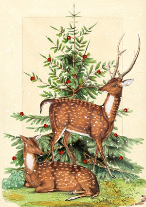 Card - Christmas Deers