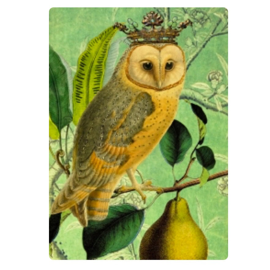 Card - Crowned Owl and Pear