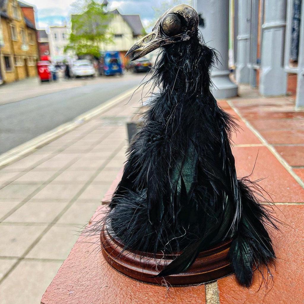 Creepy Charlie on Wood Stand