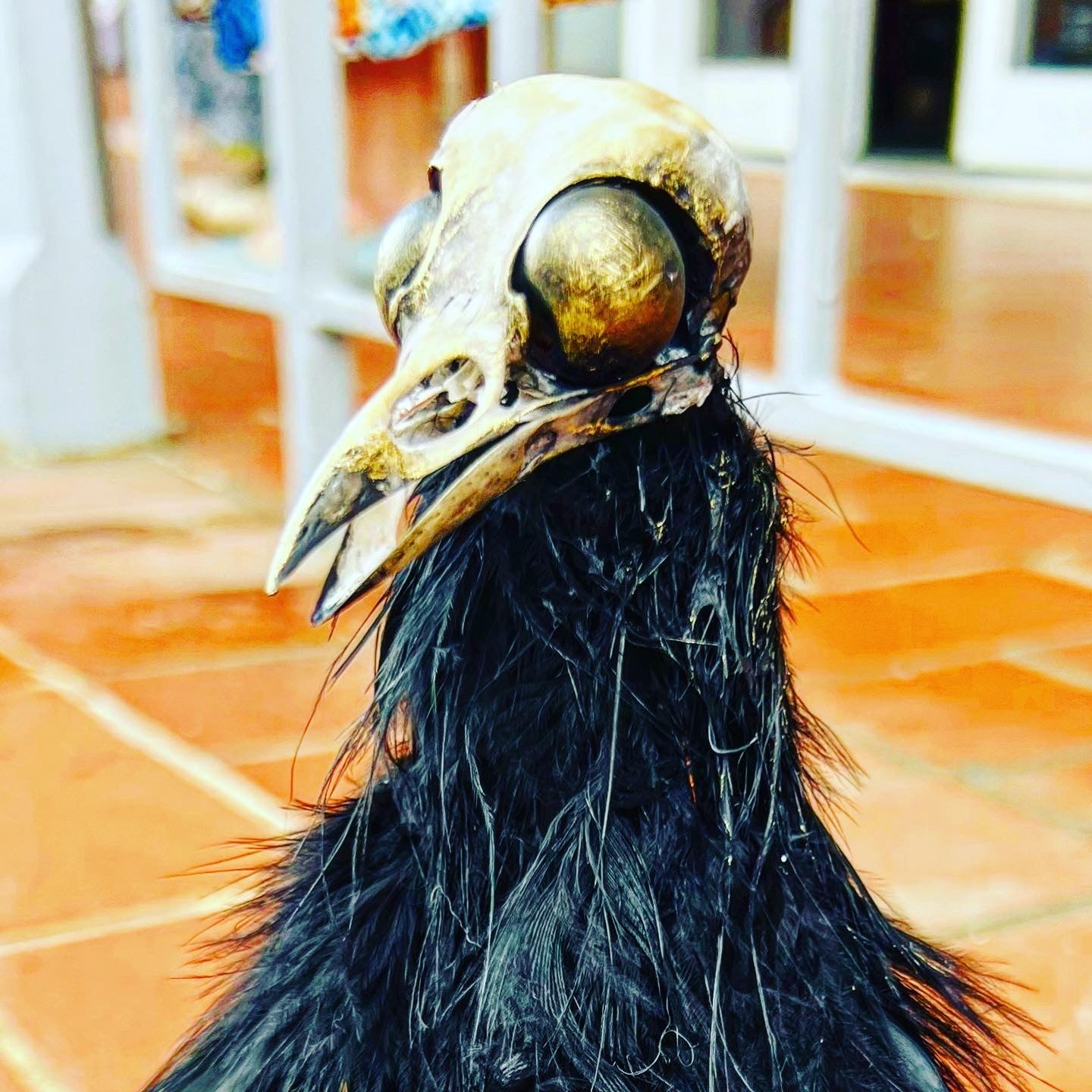 Creepy Charlie on Wood Stand