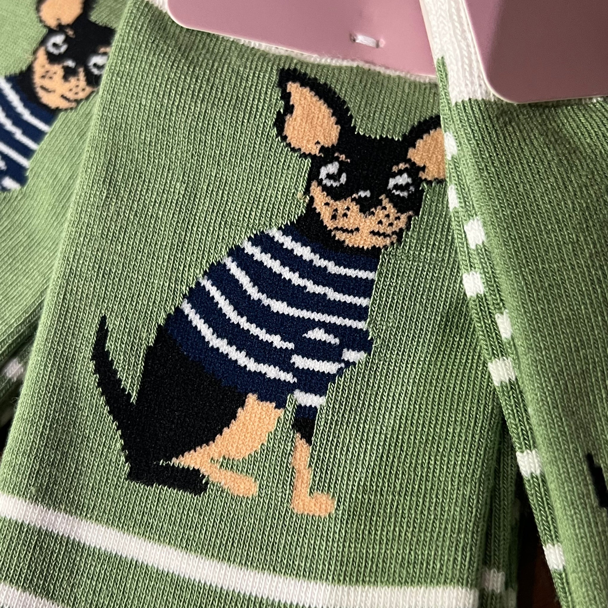 Socks - Chihuahua Stripes