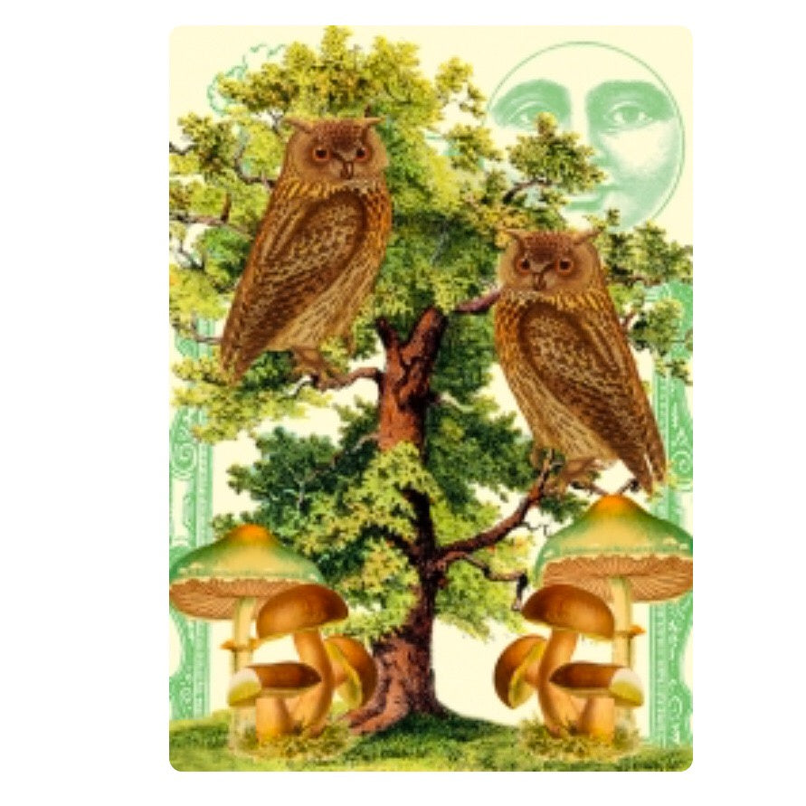 Card - Owls Moon and Mushrooms