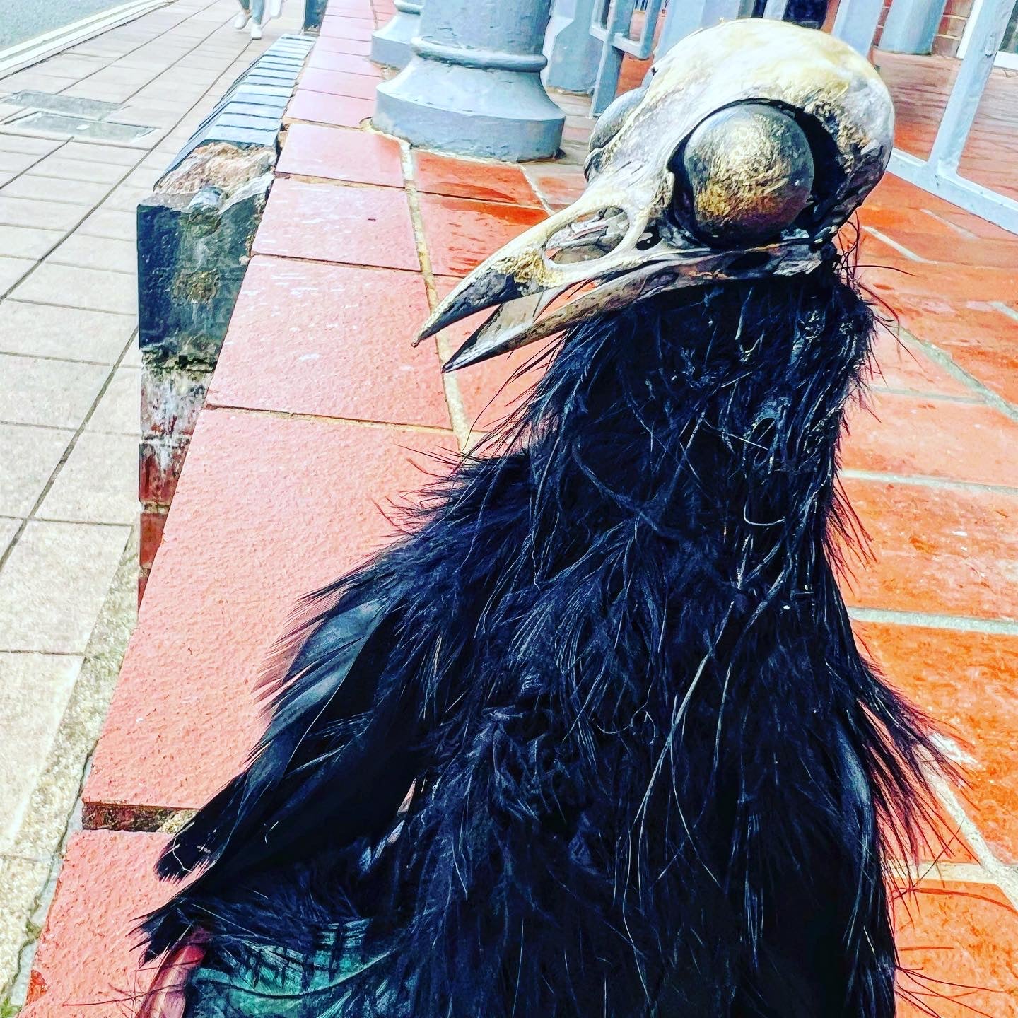 Creepy Charlie on Wood Stand