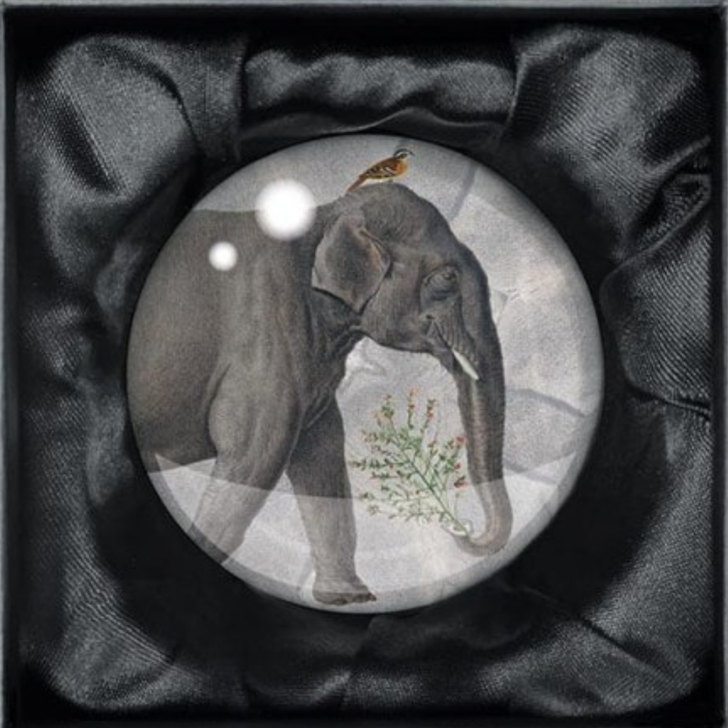 Paperweight - The Elephant