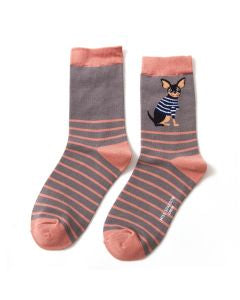 Socks - Chihuahua Stripes