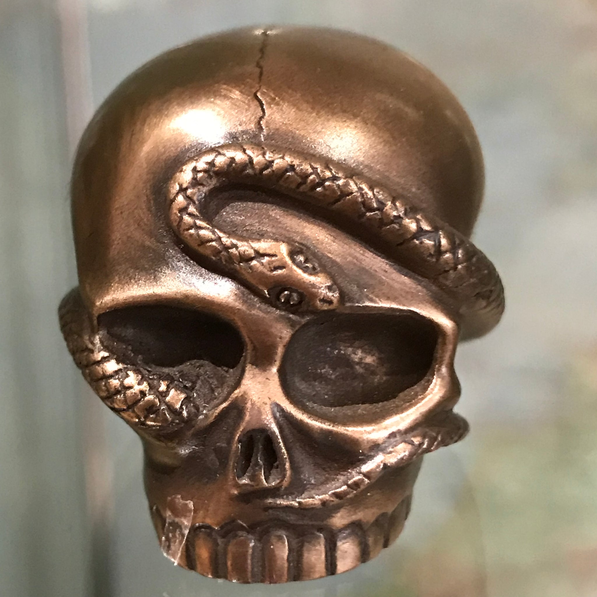 Mini skull with snake