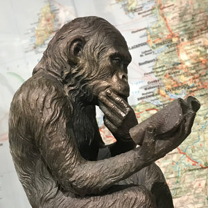 Darwin’s Reading Monkey Figureen