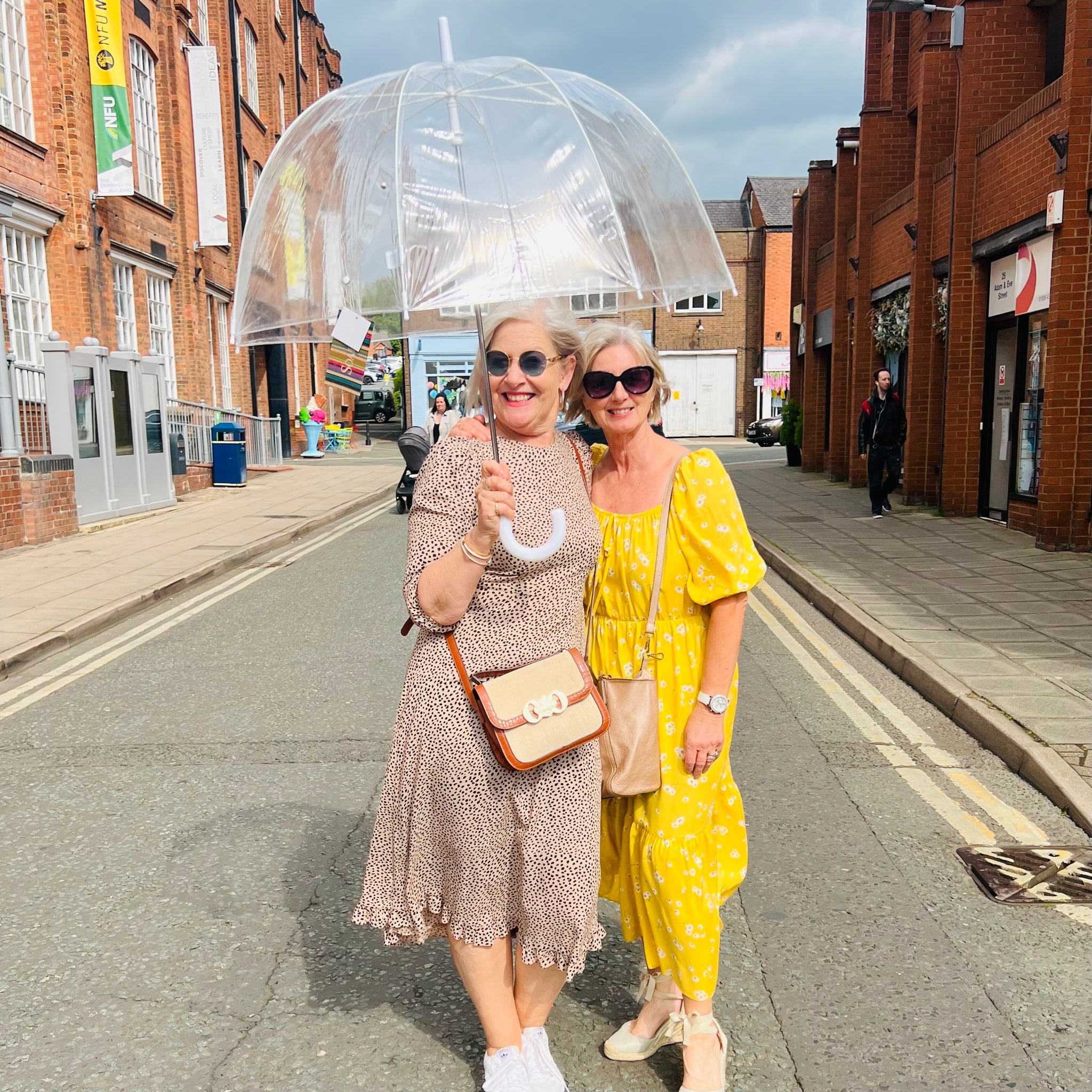 Clear Vinyl Dome Umbrella