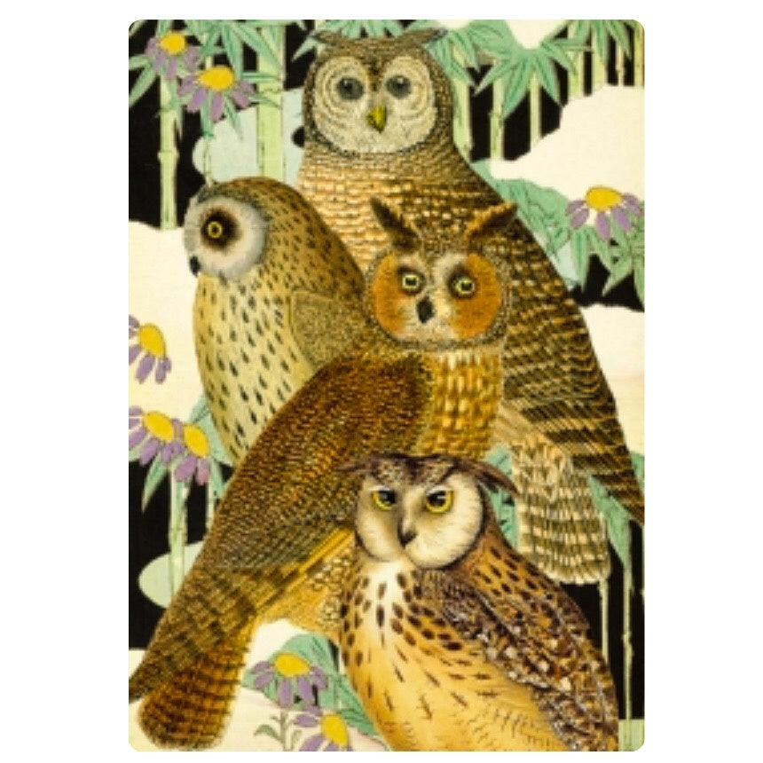 Card - Owls and Bamboo