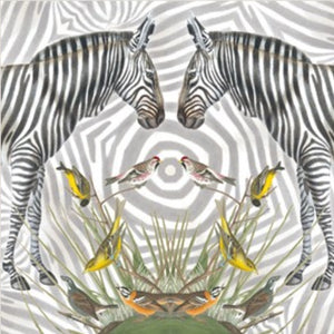 Card - Zebras