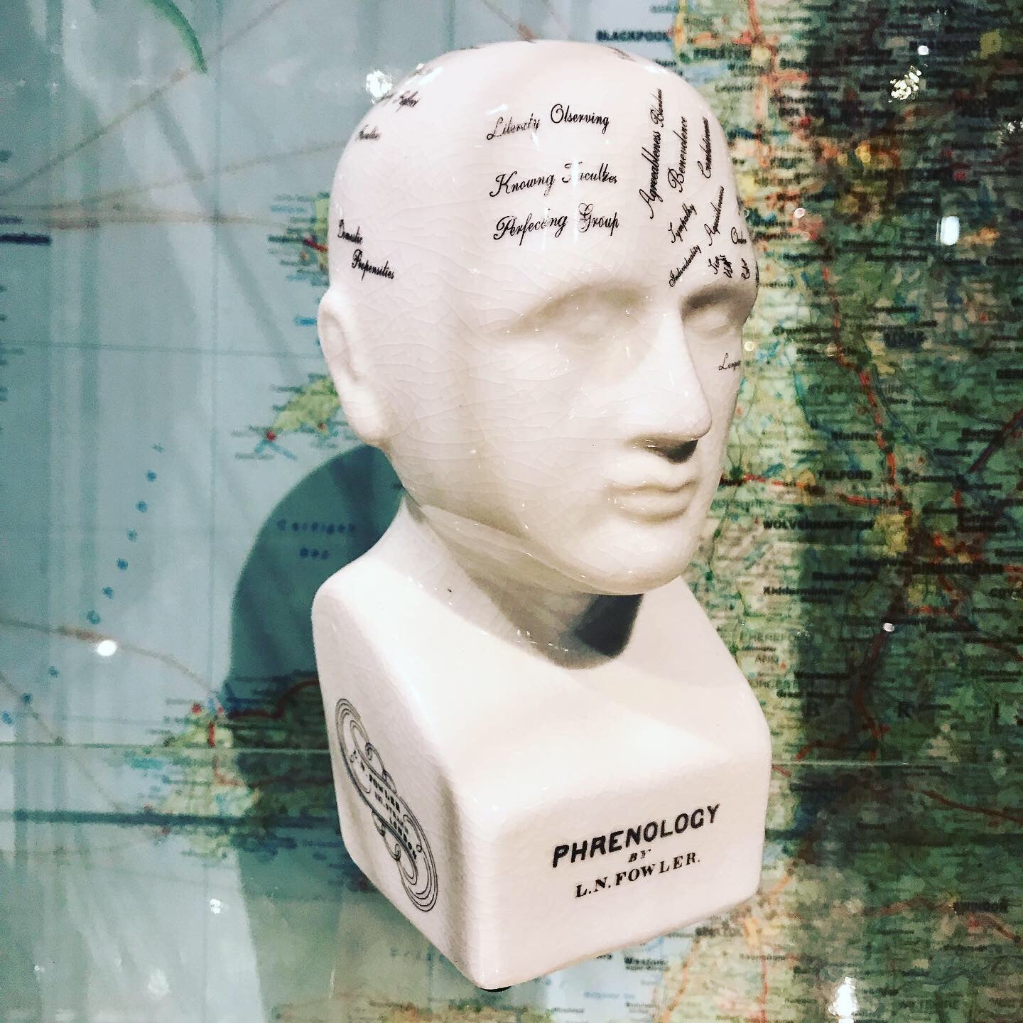 Phrenology head small