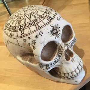 Skull Astrological 20cms