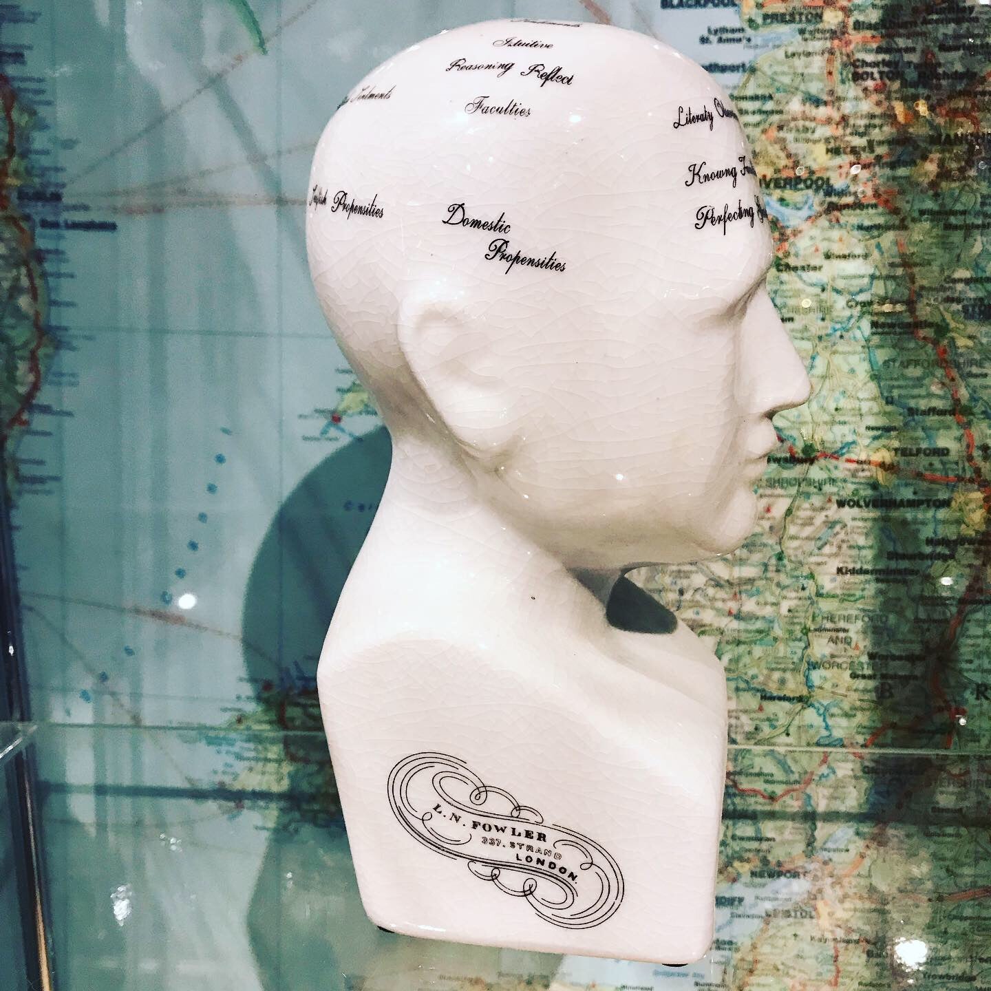 Phrenology head small