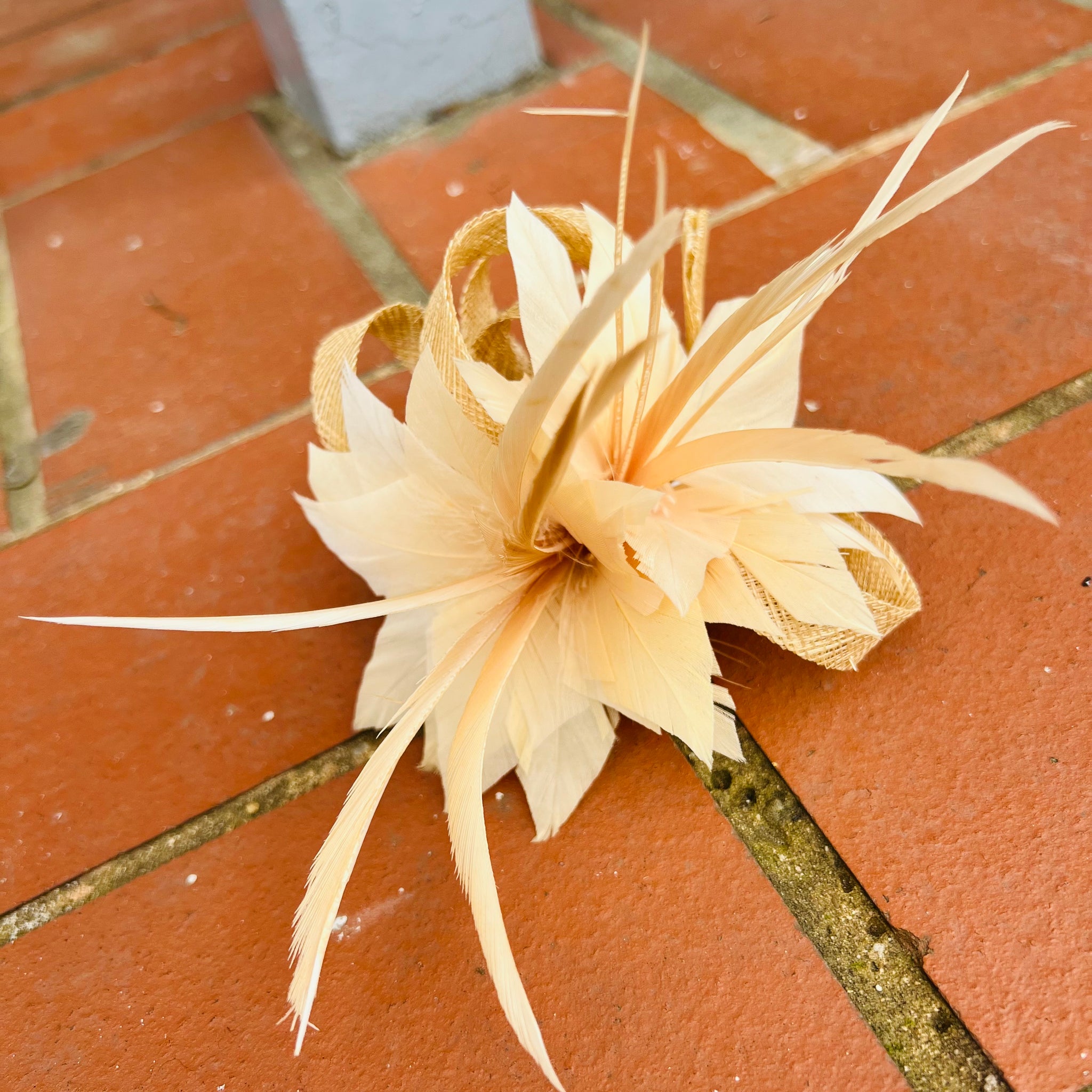 Petite Sinamay & Feather Corsage