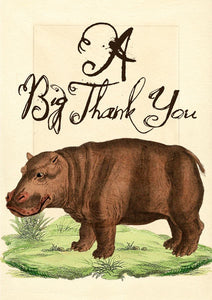 Card - Hippo - A Big Thank You 