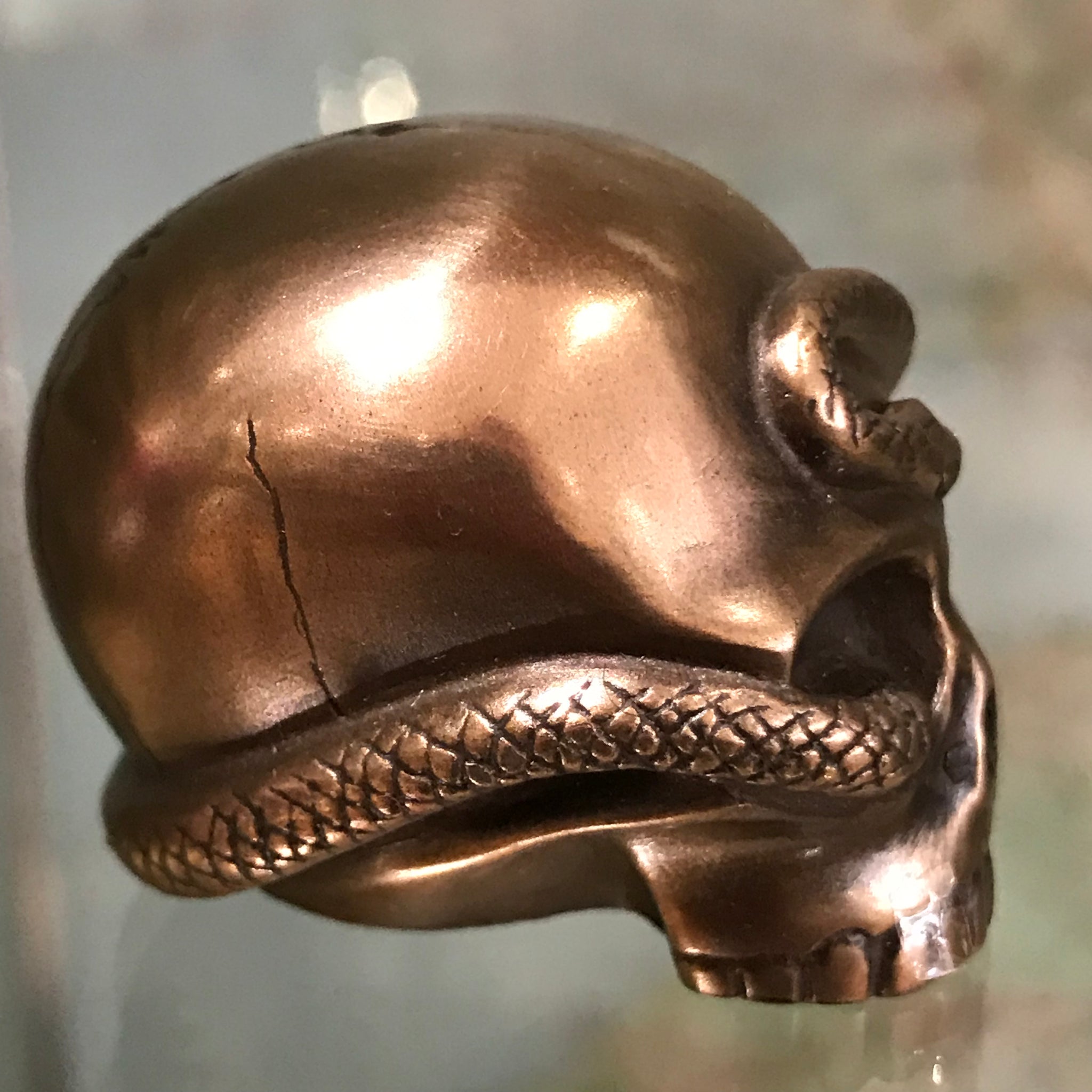 Mini skull with snake