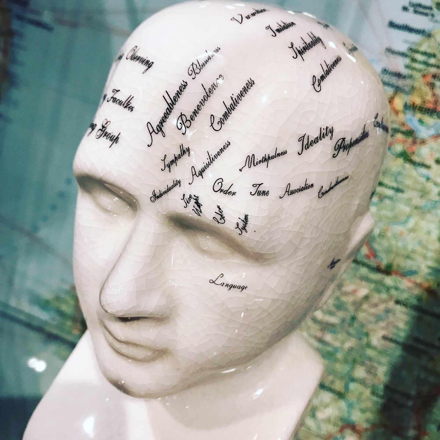 Phrenology head small