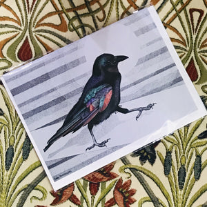 Card - A Raven Named Raymond