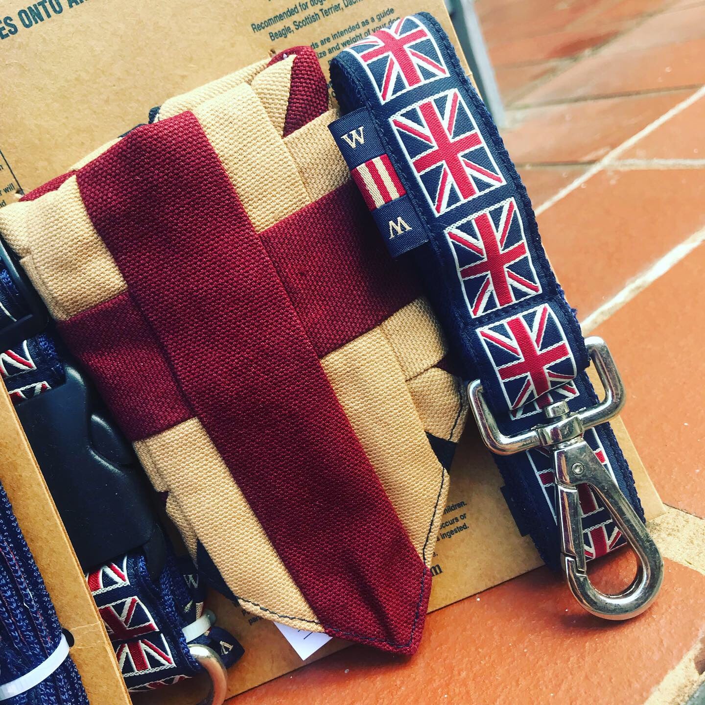 Dog bandana collar and lead set