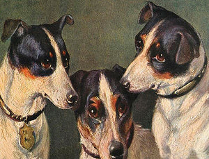 Three little dogs greetings card