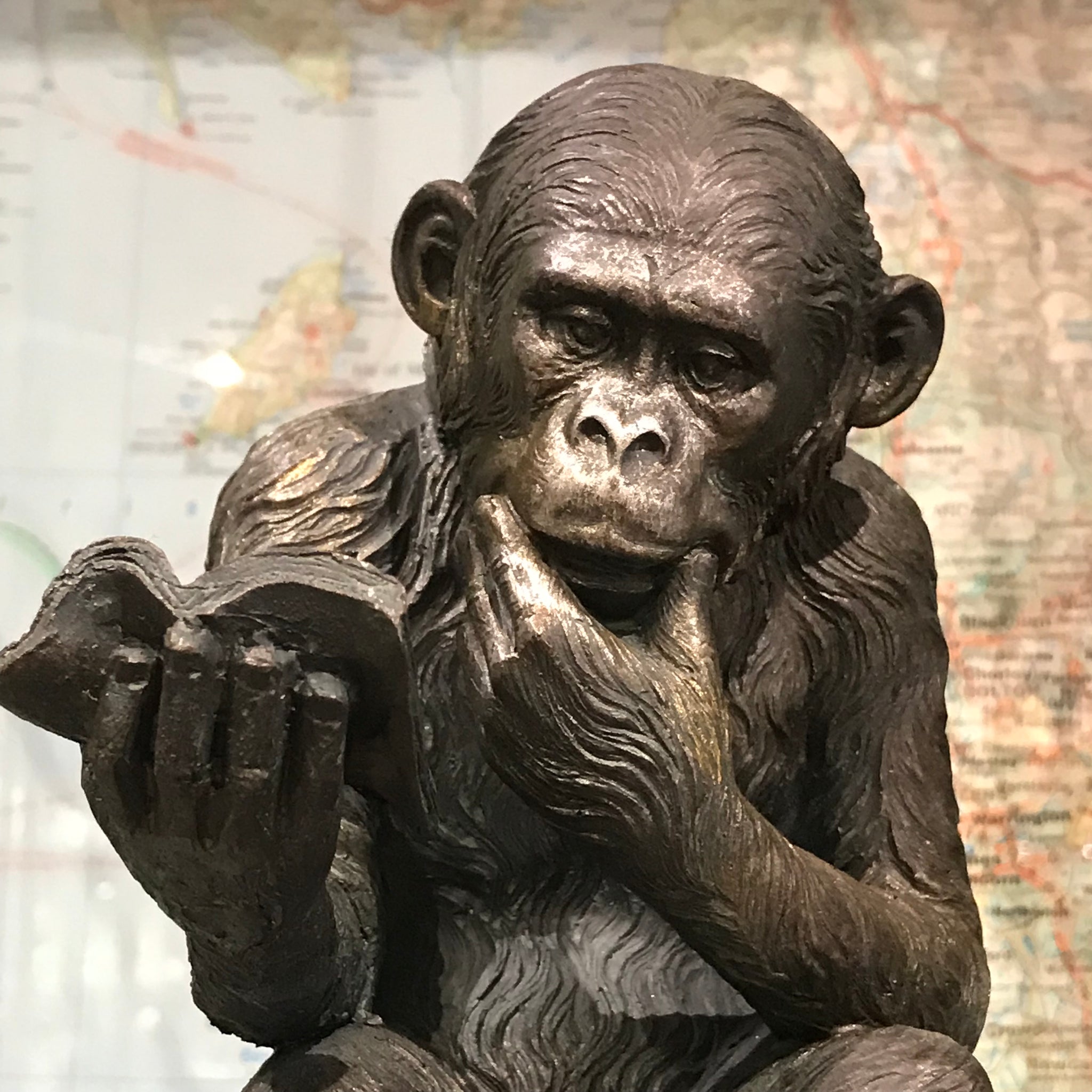 Darwin’s Reading Monkey Figureen