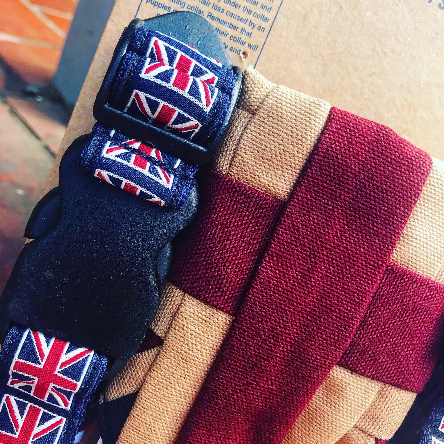 Dog bandana collar and lead set