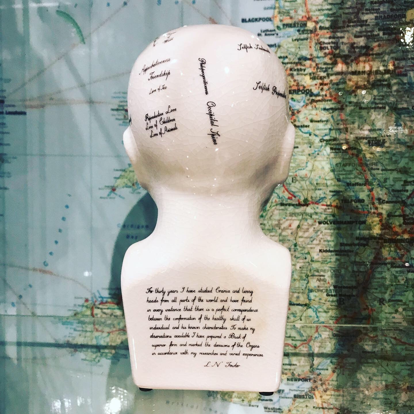 Phrenology head small