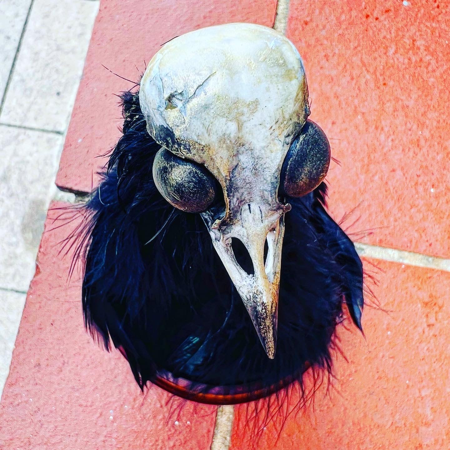 Creepy Charlie on Wood Stand