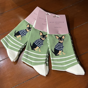 Socks - Chihuahua Stripes