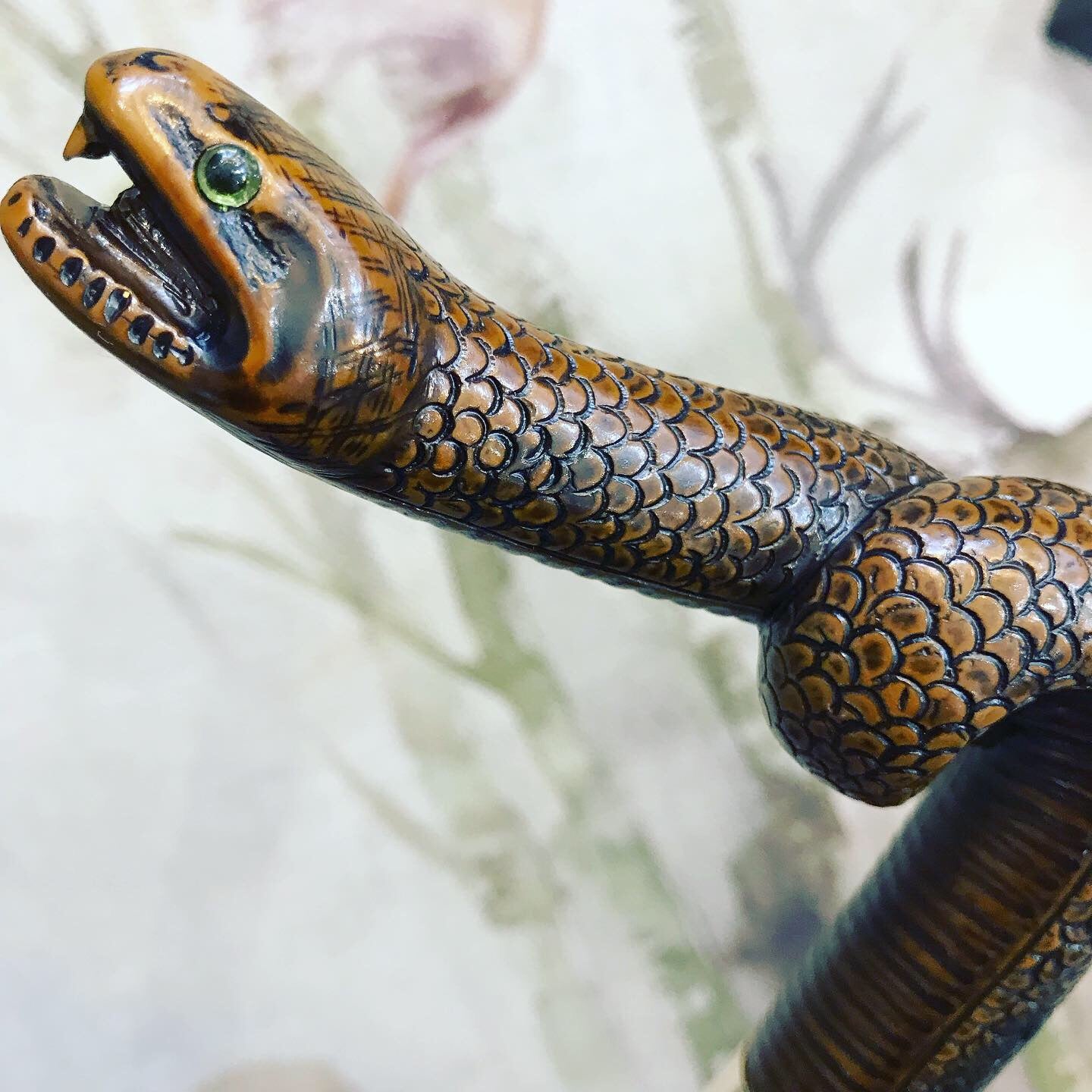 Snake head cane