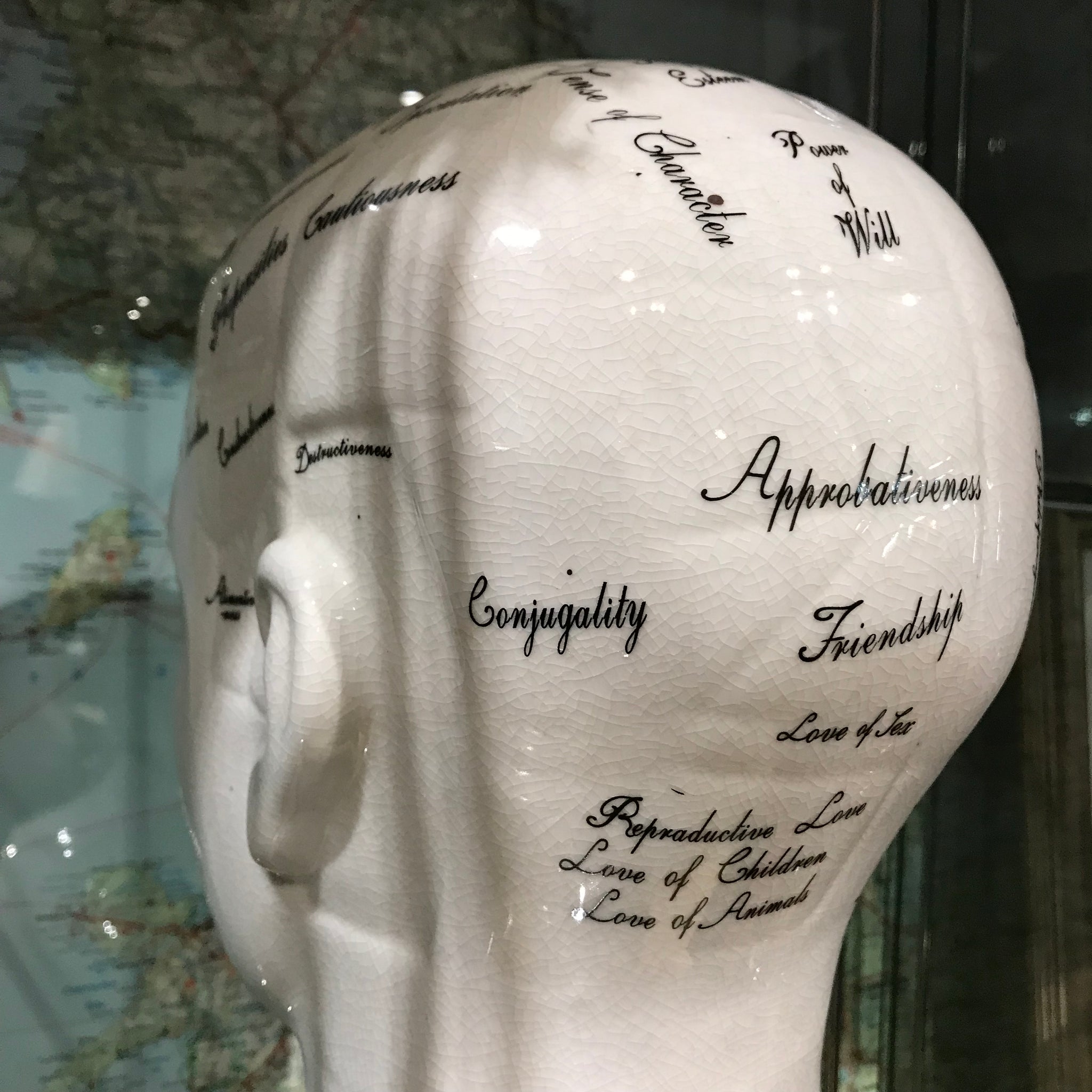 Large antiqued ceramic phrenology head