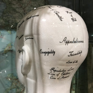 Large antiqued ceramic phrenology head