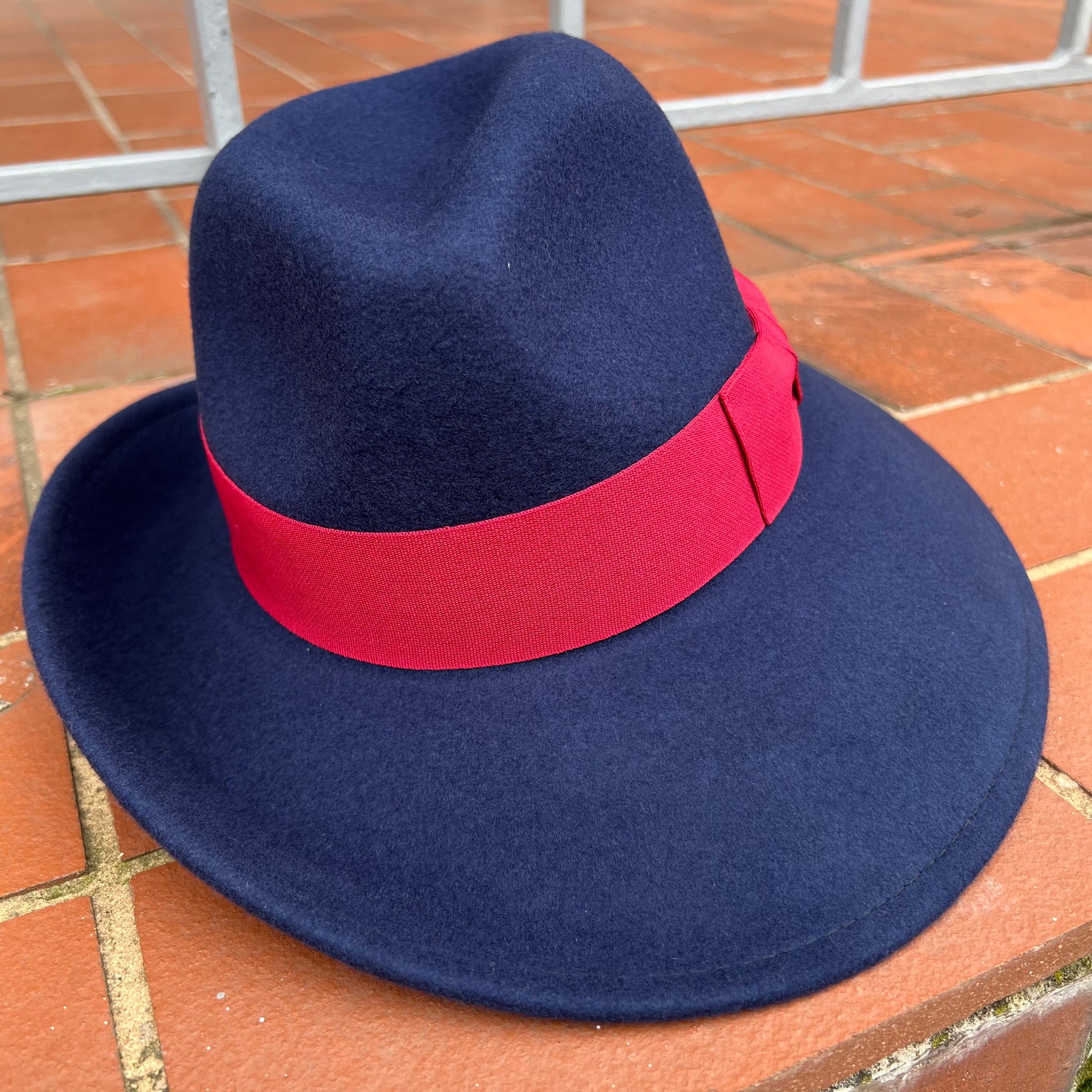 Wide Brimmed Fedora Hat with Wide Band